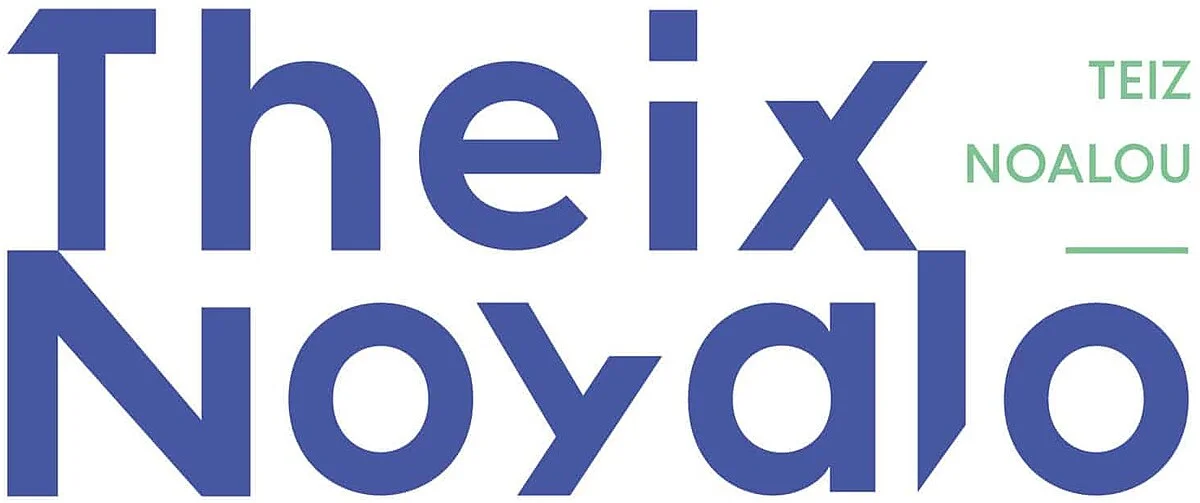 Theix-Noyalo_logo
