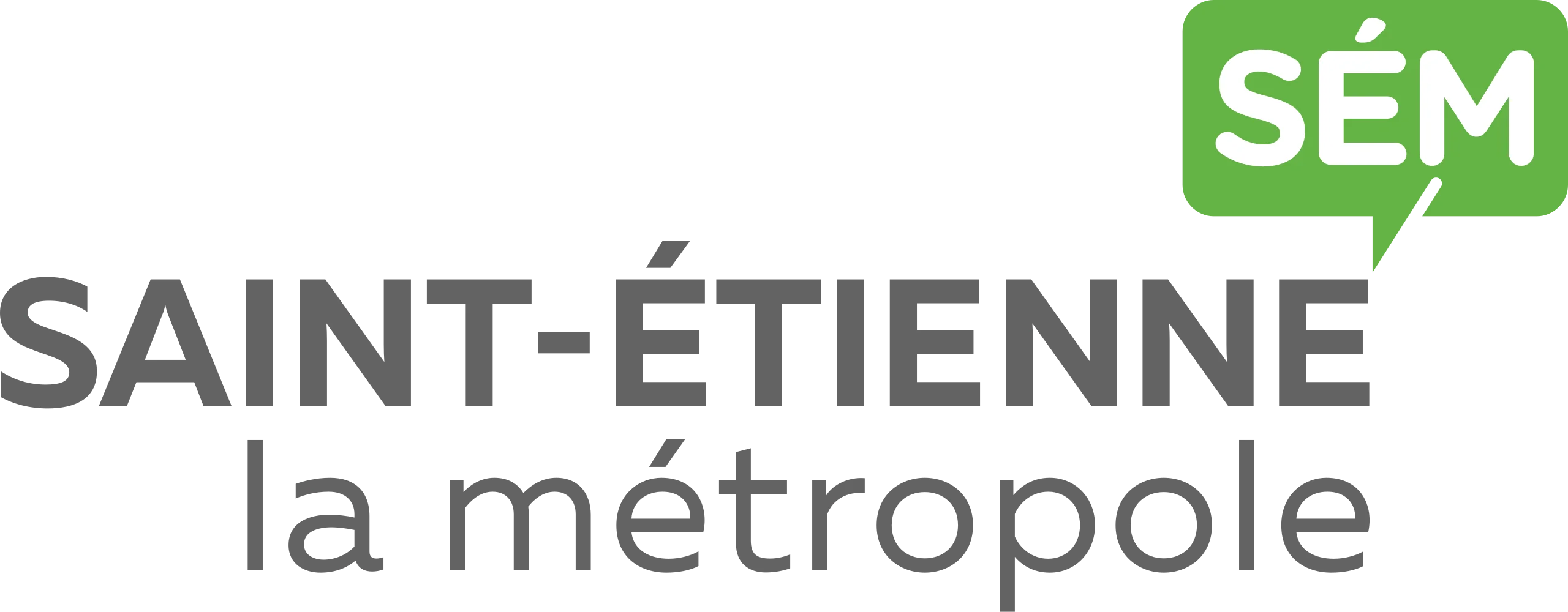 Saint Étienne_Métropole_-_2018.svg